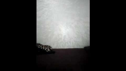 arabic_loka