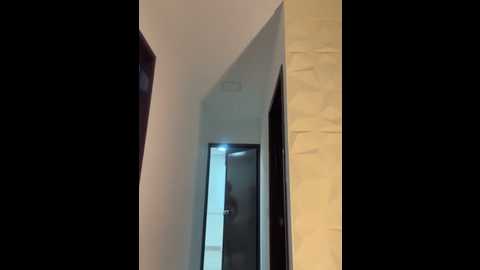 brendacrean @ stripchat on 20250616