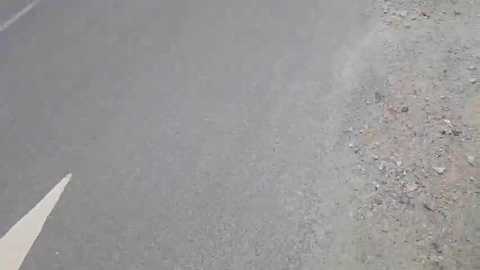 purenaturehaze @ stripchat on 20250616