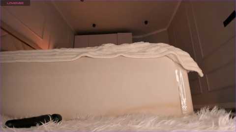 stellagracee @ stripchat on 20250616