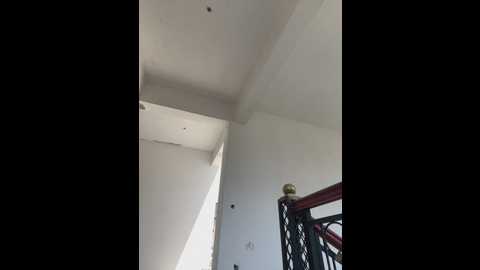 xiao_meng66 @ stripchat on 20250616