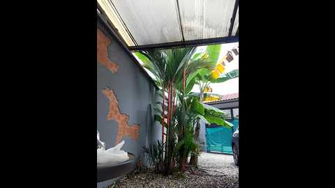 yessica_lopezz @ stripchat on 20250616