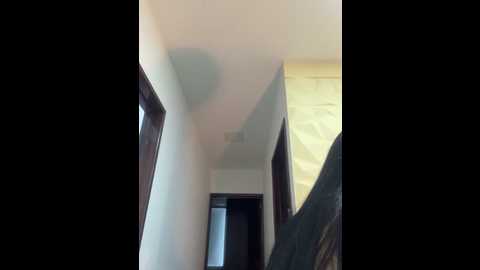 brendacrean @ stripchat on 20250618