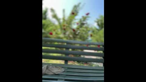 didihairypussy @ stripchat on 20250618