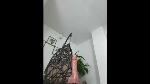 jamilaross @ stripchat on 20250618