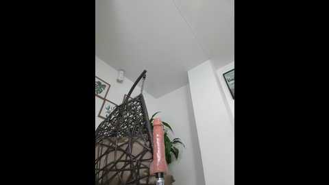 jamilaross @ stripchat on 20250618