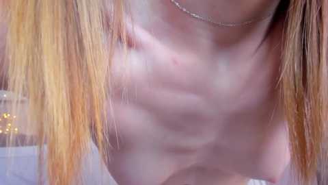 elis_fox @ stripchat on 20250619