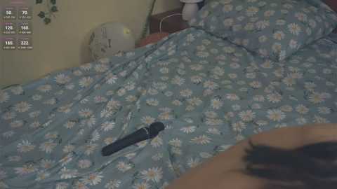 engelalman @ stripchat on 20250619