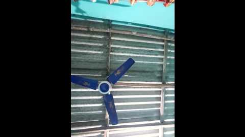 hotbaby_5 @ stripchat on 20250619