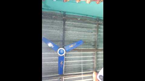 hotbaby_5 @ stripchat on 20250619