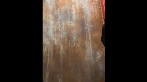 liza_risky @ stripchat on 20250619