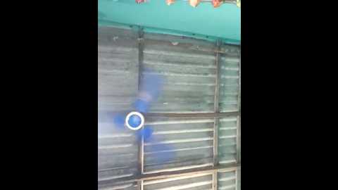 hotbaby_5 @ stripchat on 20250620