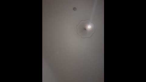 musae @ stripchat on 20250620