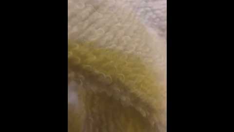 bold_arabic_vibes @ stripchat on 20250622