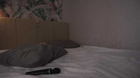 wildaheldreth @ stripchat on 20250623