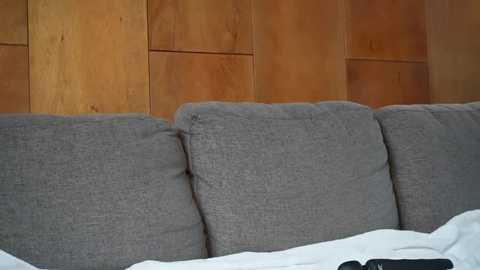 couplemylove2 @ stripchat on 20250625