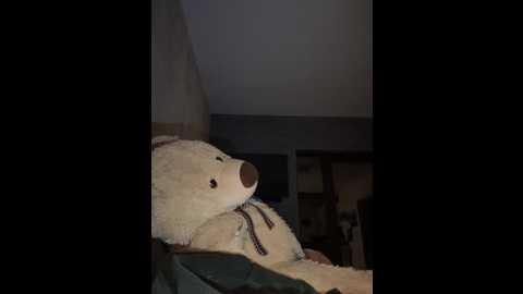 s0nyad