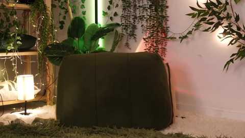 scarletblaze @ stripchat on 20250625