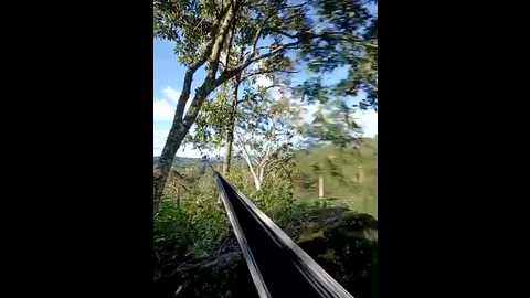 simone_miller @ stripchat on 20250625