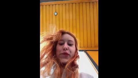 foxy_heart @ stripchat on 20250626