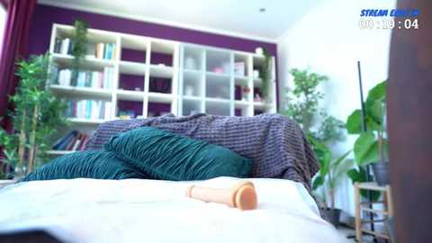 josyblack @ stripchat on 20250626