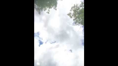 maomao_520 @ stripchat on 20250626