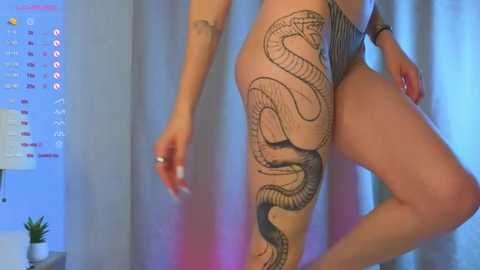 evahair @ stripchat on 20250627