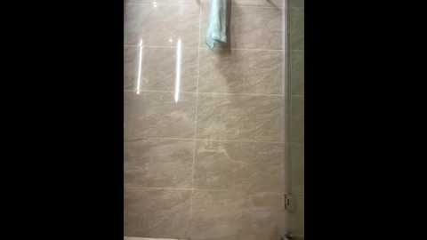 maomao_520 @ stripchat on 20250627