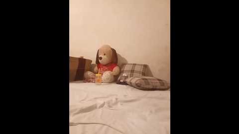 ruby_quin @ stripchat on 20250627