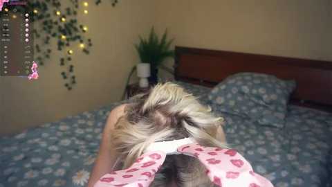 engelalman @ stripchat on 20250629