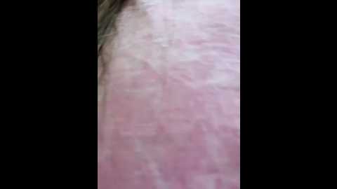 evvamur @ stripchat on 20250629