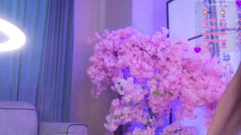 marry_cordy @ stripchat on 20250629