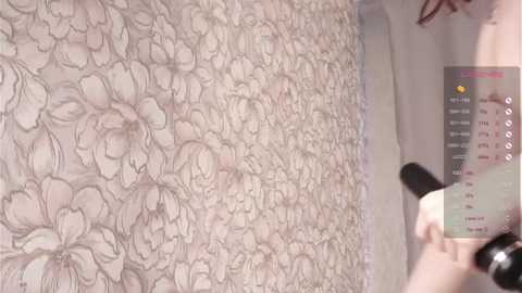 noreenballe @ stripchat on 20250629