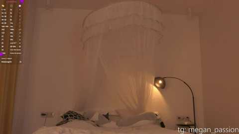 top_of_passion @ stripchat on 20250629