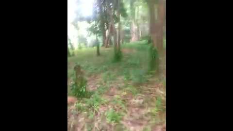 bonvoyage777 @ stripchat on 20250630