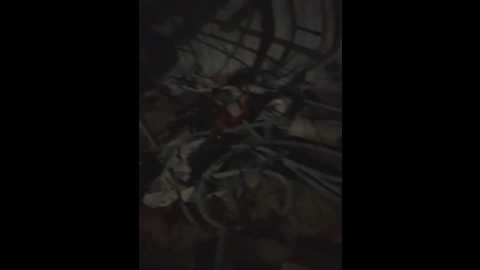 linh_2004 @ stripchat on 20250630