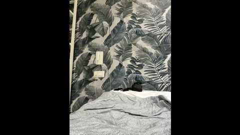 sexymelli18 @ stripchat on 20250630