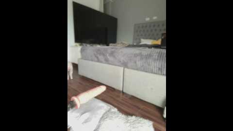 emiss_ @ stripchat on 20250701