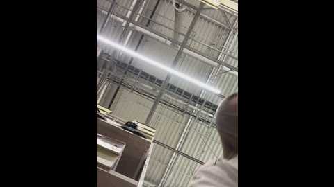 kittyqueeny @ stripchat on 20250701