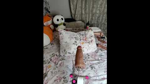 lola_hale @ stripchat on 20250701