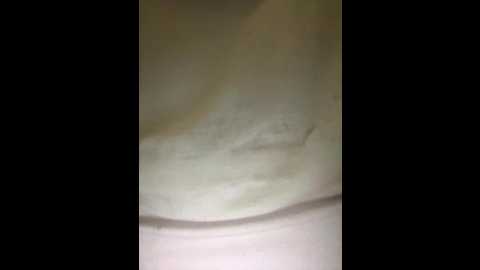 thalibunny @ stripchat on 20250701