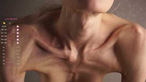 wildaheldreth @ stripchat on 20250701