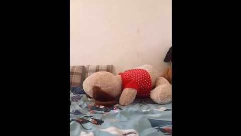 ruby_quin @ stripchat on 20250702