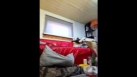 zasmin3 @ stripchat on 20250702