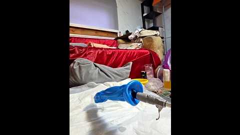 zasmin3 @ stripchat on 20250702