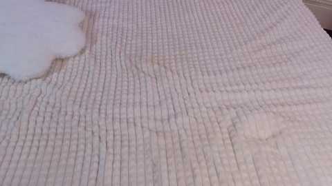 laney_vil @ stripchat on 20250703