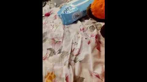 lola_hale @ stripchat on 20250704