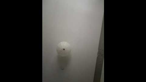 musae @ stripchat on 20250704