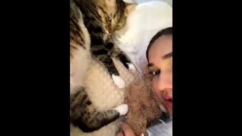 cutefathima @ stripchat on 20250705