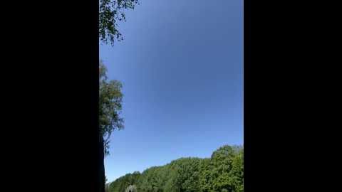 linagoes @ stripchat on 20250705